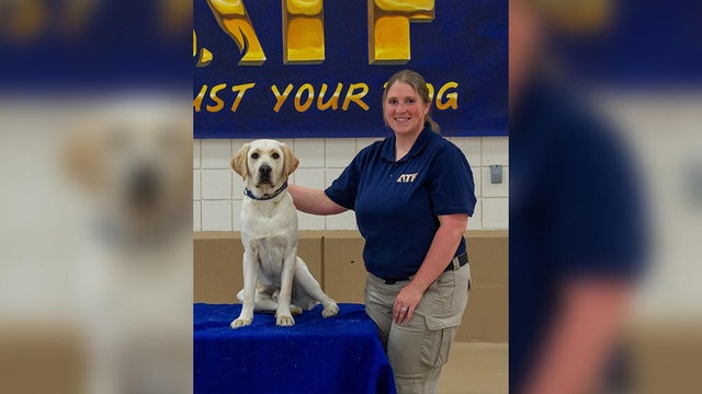 fire-marshal-k9.jpg 
