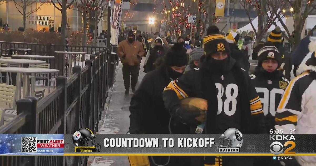 He has a Knack for Capturing Steelers Fans' Euphoria