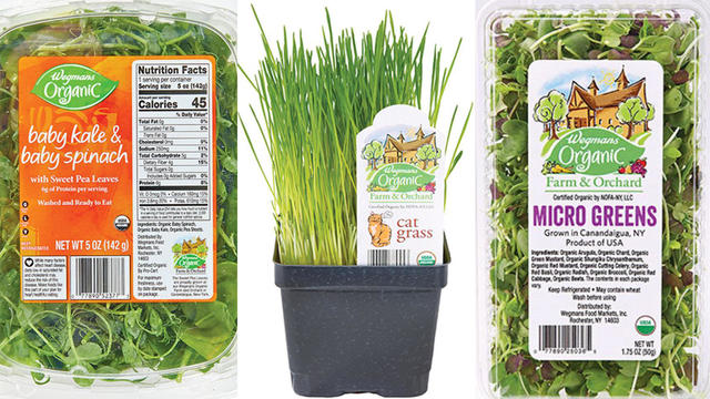 Wegmans recalls some spinach greens and cat grass over salmonella