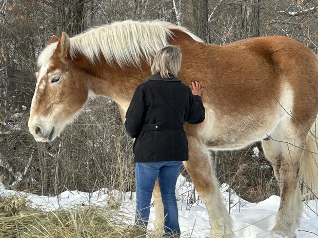 richard-the-horse-and-owner-katie-gerads.jpg 