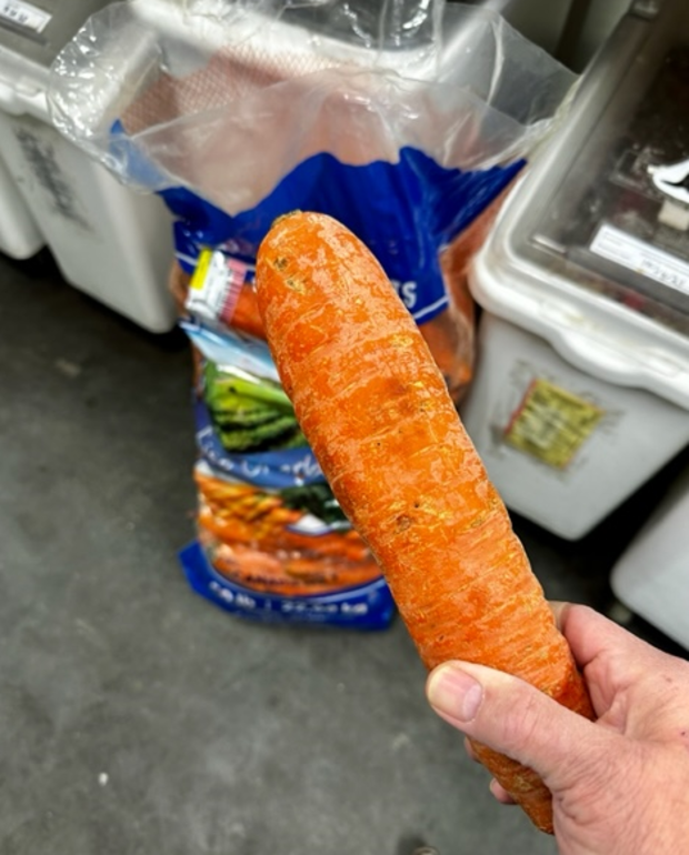 carrot.png 