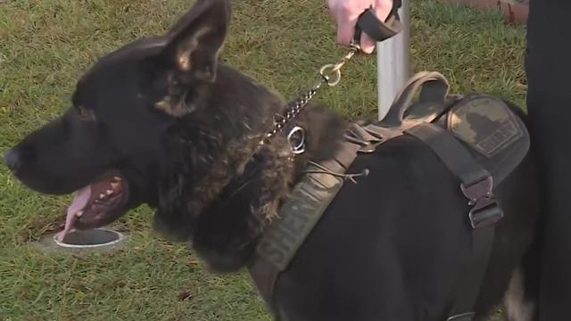 Sacramento County sheriff's office gets new tool to sniff out life-threatening drugs 