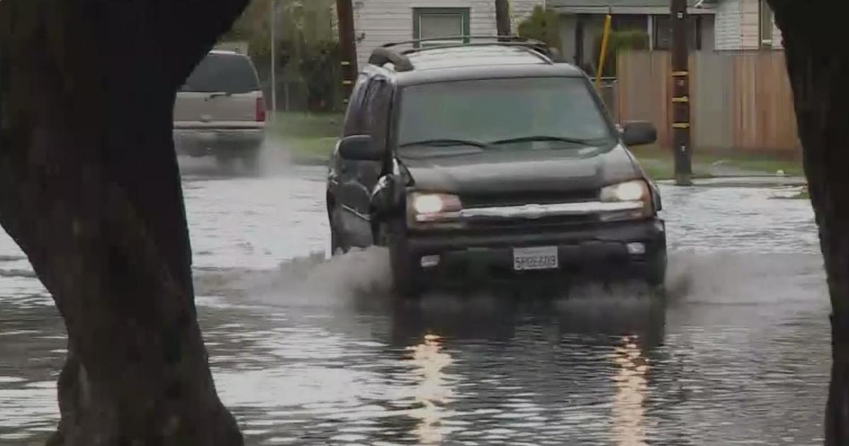 Miami Comissioner Says Something Needs To Be Done About Flooding During ...