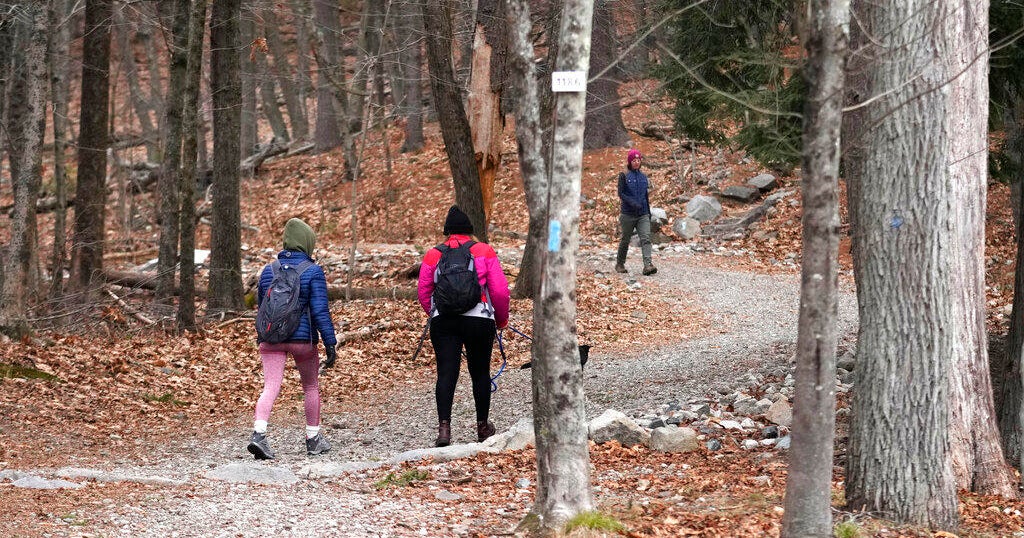 Tradition of hiking in the new year reaches all 50 US states - Vimarsana News