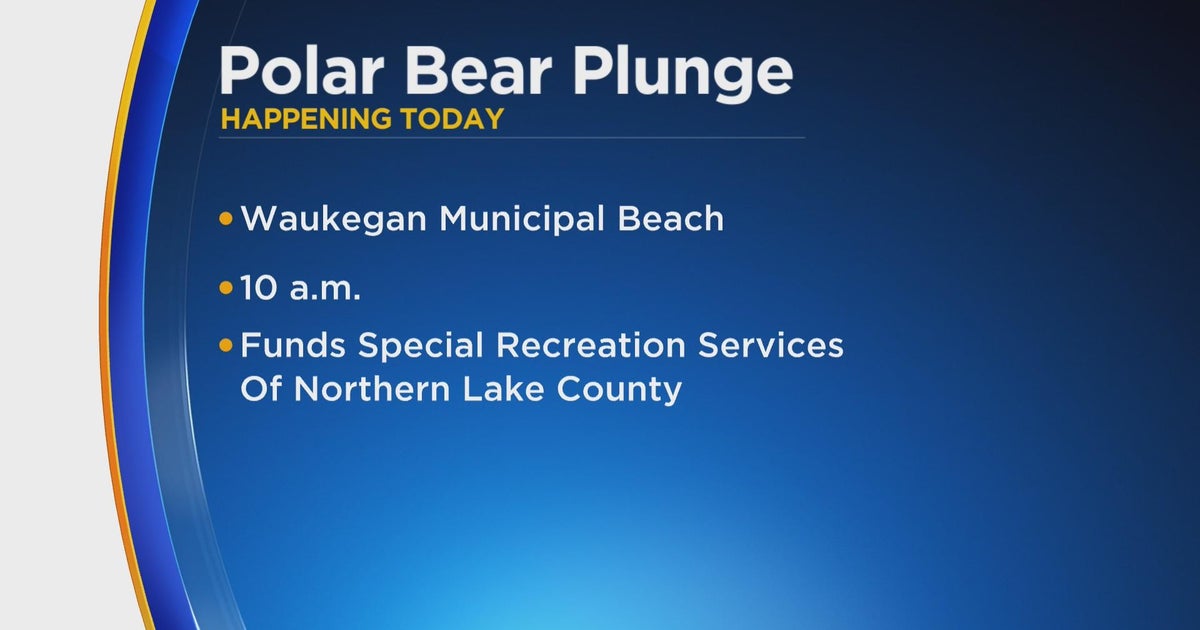 Polar Bear Plunge in Waukegan happening Sunday morning CBS Chicago