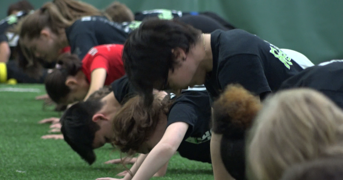 Michigan martial arts scene growing, drawing talent worldwide CBS Detroit