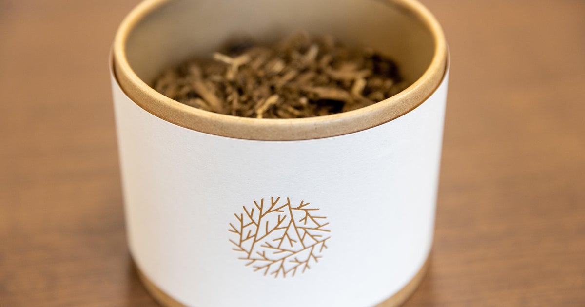 Reaction mixed to New York's new human composting law - Vimarsana News