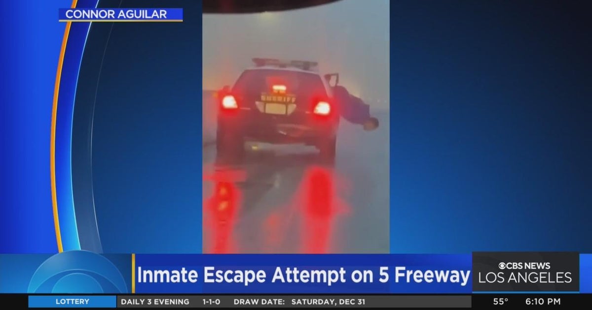 Caught on Camera Inmate attempts escape from LASD vehicle on 5 Freeway(04)