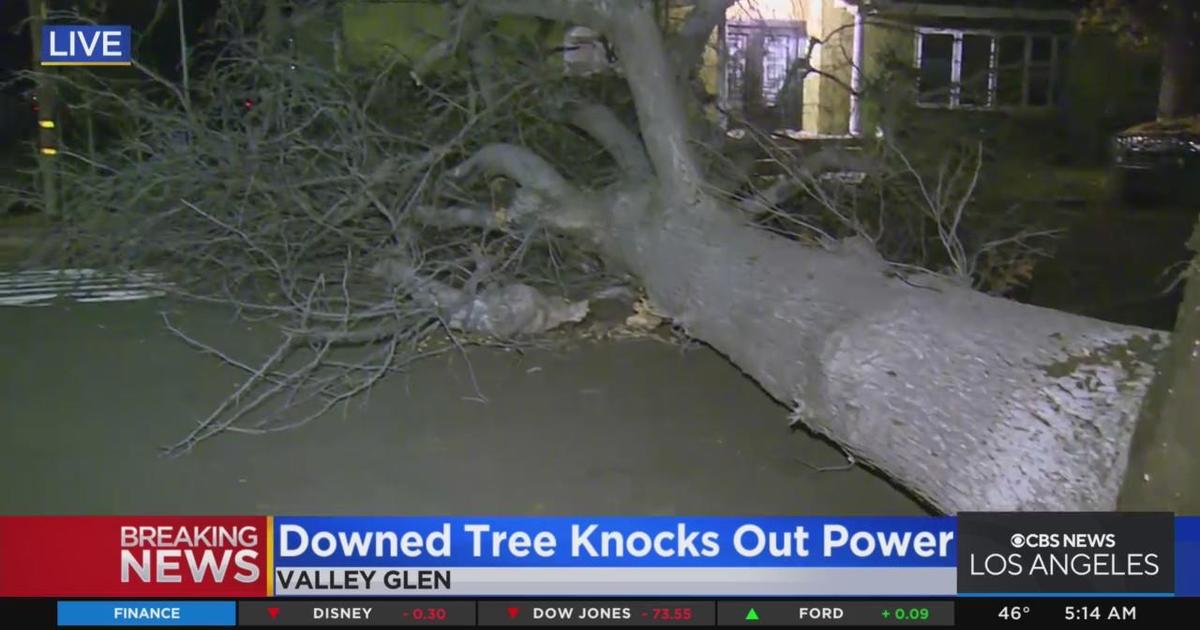 Downed Tree Knocks Out Power In Valley Glen Cbs Los Angeles