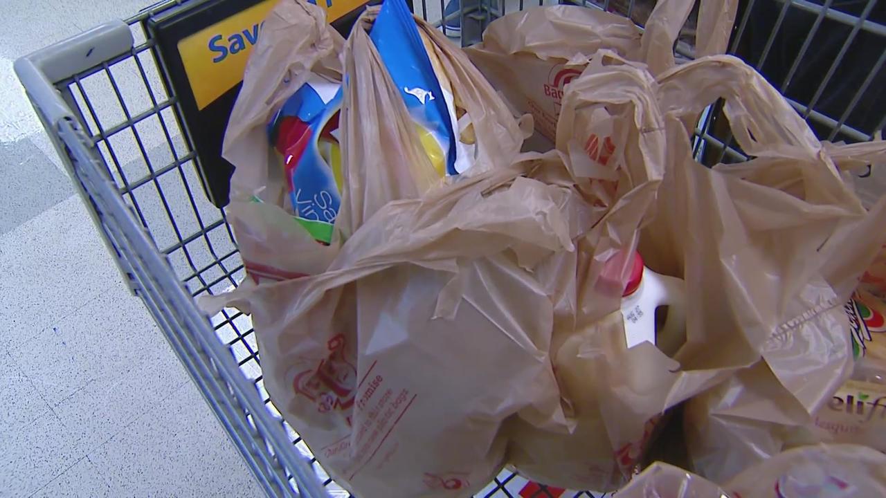 Shoppers Pay for Plastic Under New Bag Law  Union St Journal