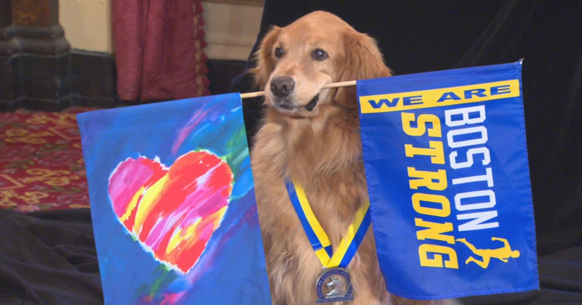 Spencer, beloved Boston Marathon dog, dies after battle with cancer