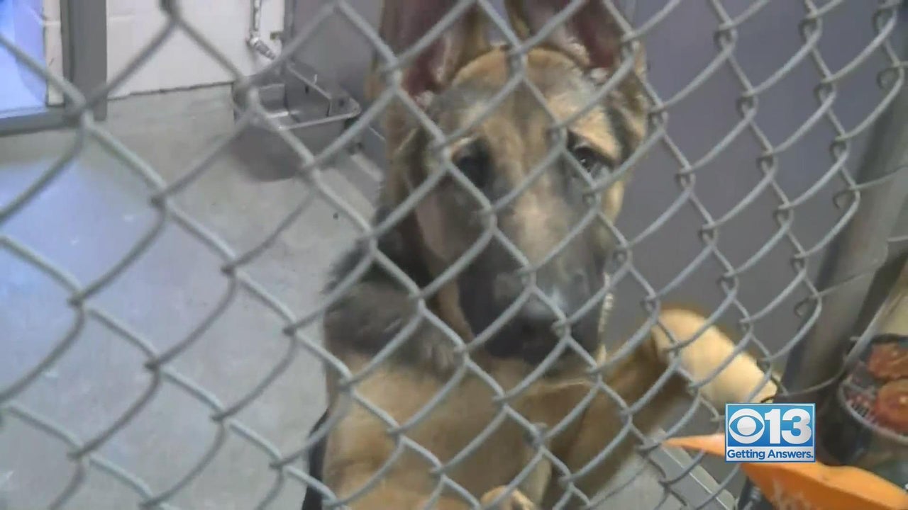 Stories About Galt News CBS Sacramento