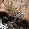 4 rescued after Tesla plunges off cliff in California