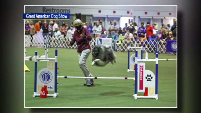 Great American Dog Show 
