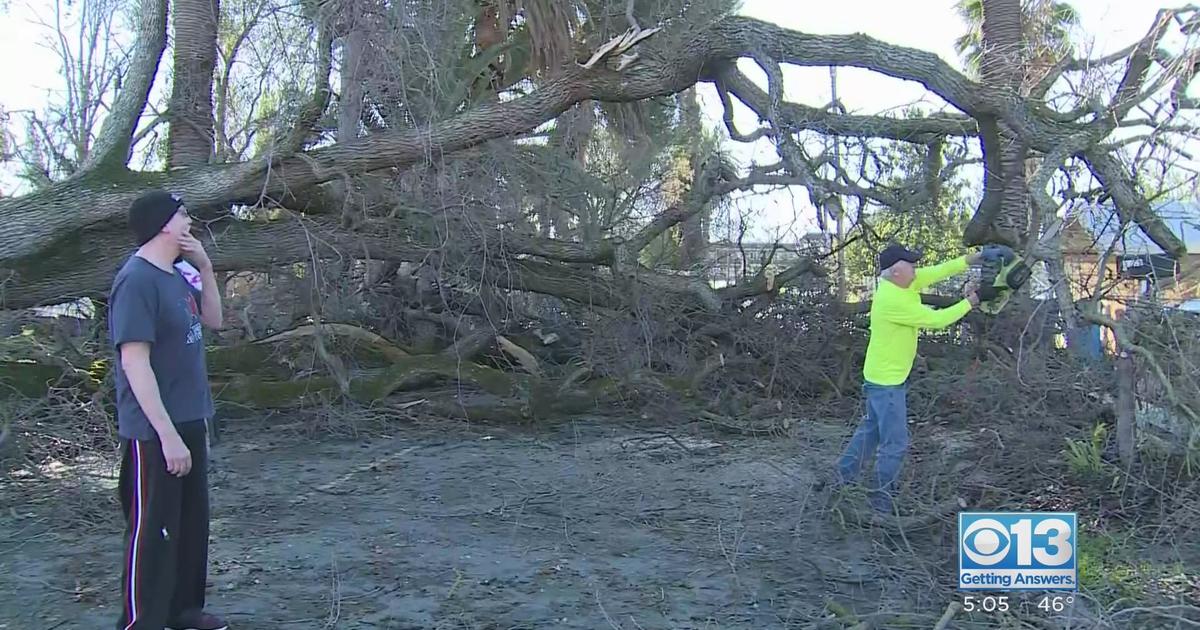 Crews Clear Downed Trees Across Sacramento As They Brace For Wednesday