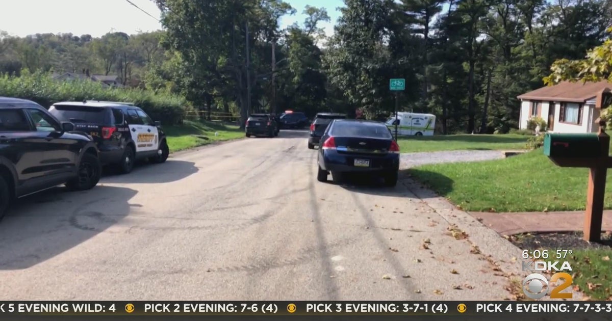 Suspect in mail carrier's fatal shooting in Collier Township reportedly