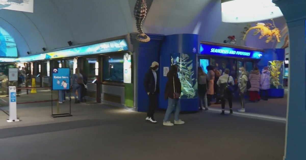 Shedd Aquarium offering free days to Illinois residents starting next