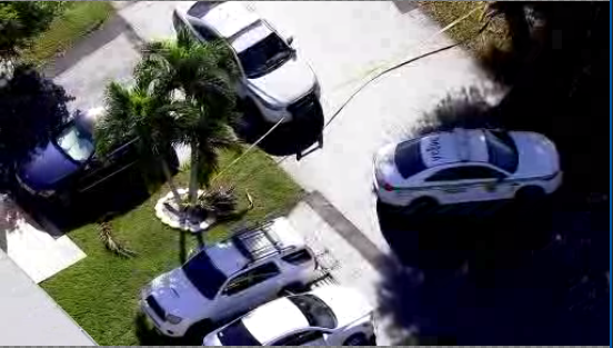Crime scene investigation