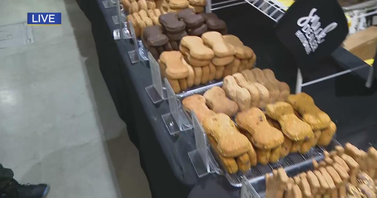 A look at the treats for the talent at the Great American Dog Show