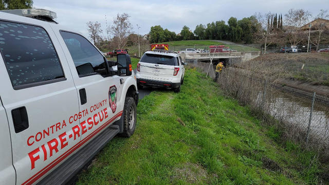 Antioch canal rescue 
