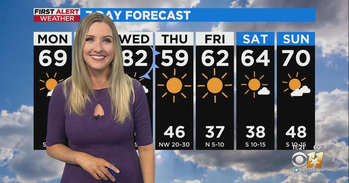 Toad-tally beautiful day ahead for North Texas! - CBS Texas