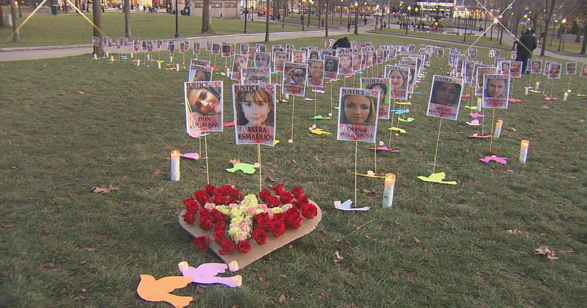 Rally shows solidarity with Iran on anniversary of downing of Ukrainian ...
