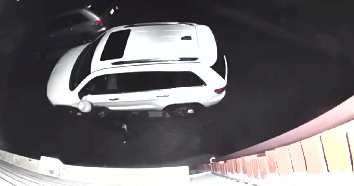 Roseland, N.J. mayor Resident fired shot at wouldbe car thief inside