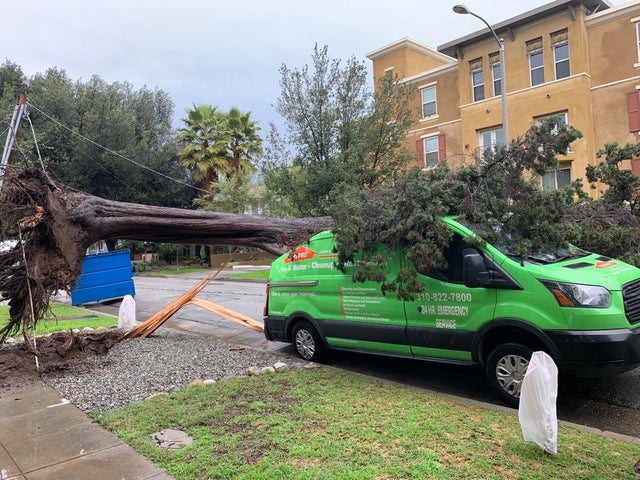 pasadena-downed-tree.jpg