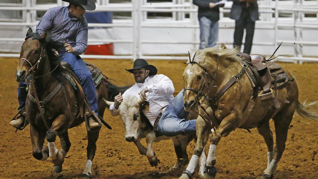 Fort Worth Stock Show Rodeo 