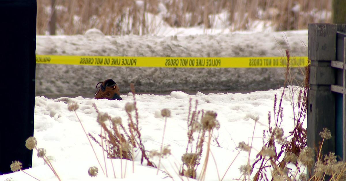 Pedestrian killed in hit-and-run near Minneapolis’ Lake Nokomis