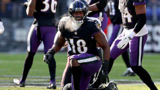 Falcons Ravens Football 