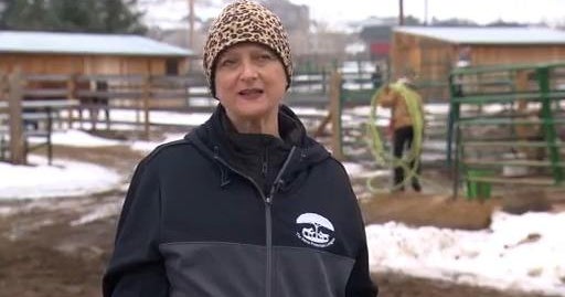 Horse Protection League facing hard times as inflation raises cost of