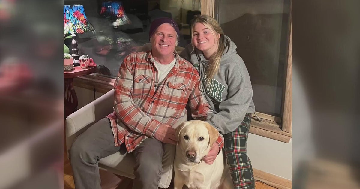Service dog who went missing after truck theft in St. Paul found safe ...