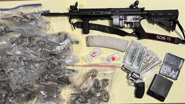 Santa Rosa drugs and guns seized 