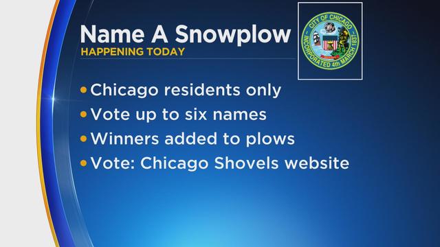 snowplow-naming-voting.jpg 