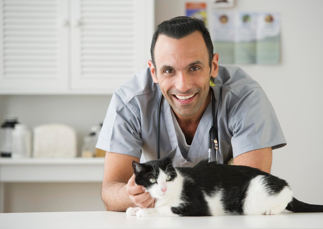 Embrace pet insurance review CBS News