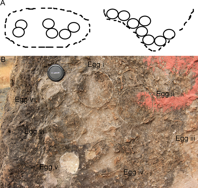 3 Building Block Dinosaur Contained in Mystery Egg in 2023