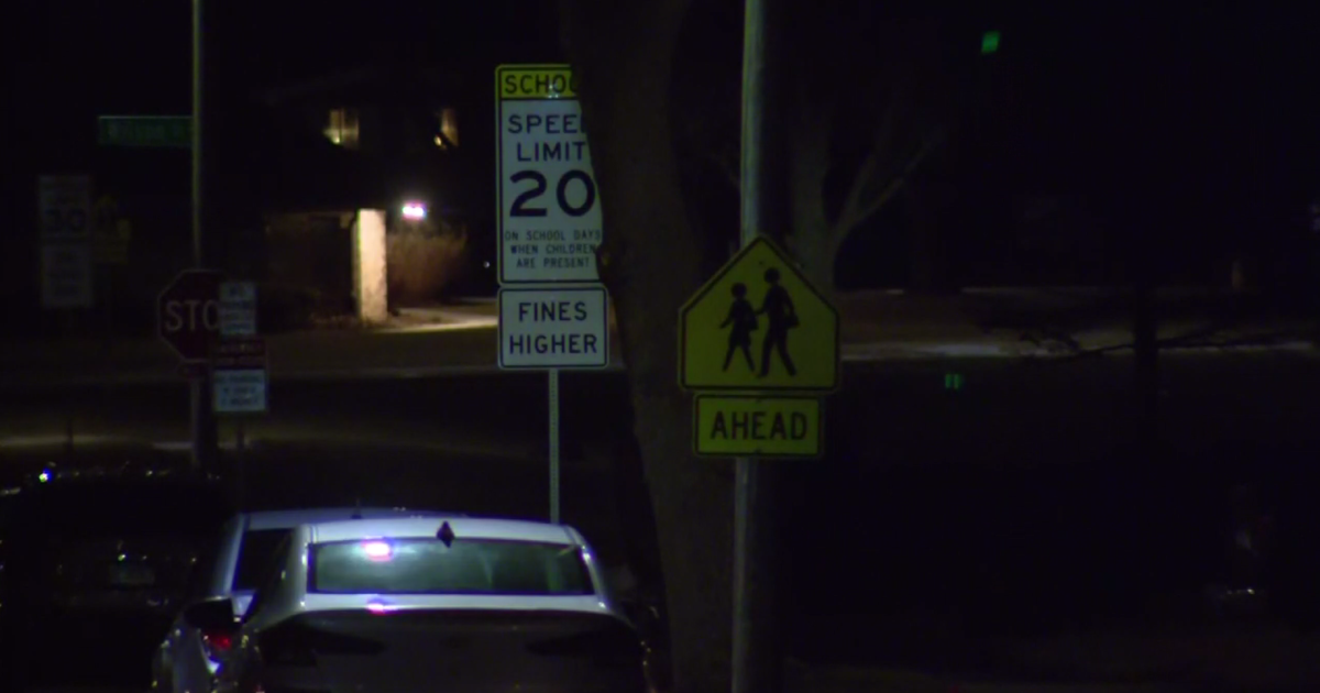 Boy, 7, dies after being hit by school bus in Park Forest - CBS Chicago