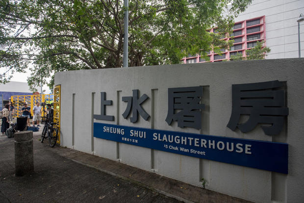 Sheung Shui Slaughterhouse As Hong Kong Says Pigs Must Be Culled Before China Supply Resumes 