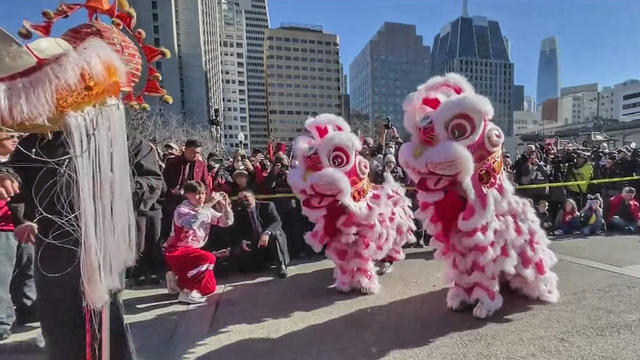 Lion Dancers at Lunar New Year Celebration 