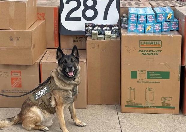 Texas K-9 sniffs out estimated $1.7 million worth of marijuana, mushroom-laced candy bars in traffic stop, deputies say 