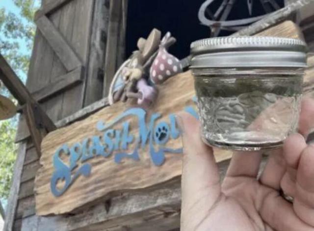 Picturing Disney: Make your own Disney Vacation Fund Jar!!