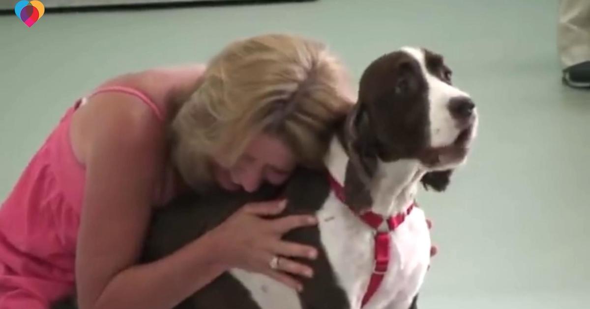 Dog owner reacts after seeing her dog walk for the first time since physical therapy