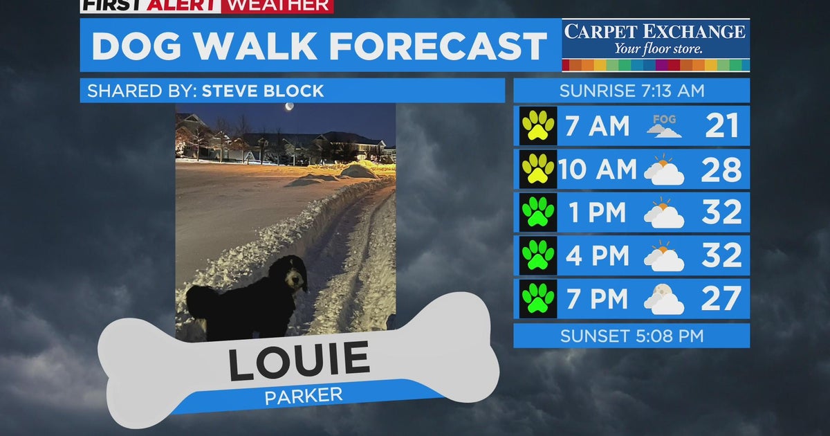 Dog Walk Forecast 1.24.23 - CBS Colorado