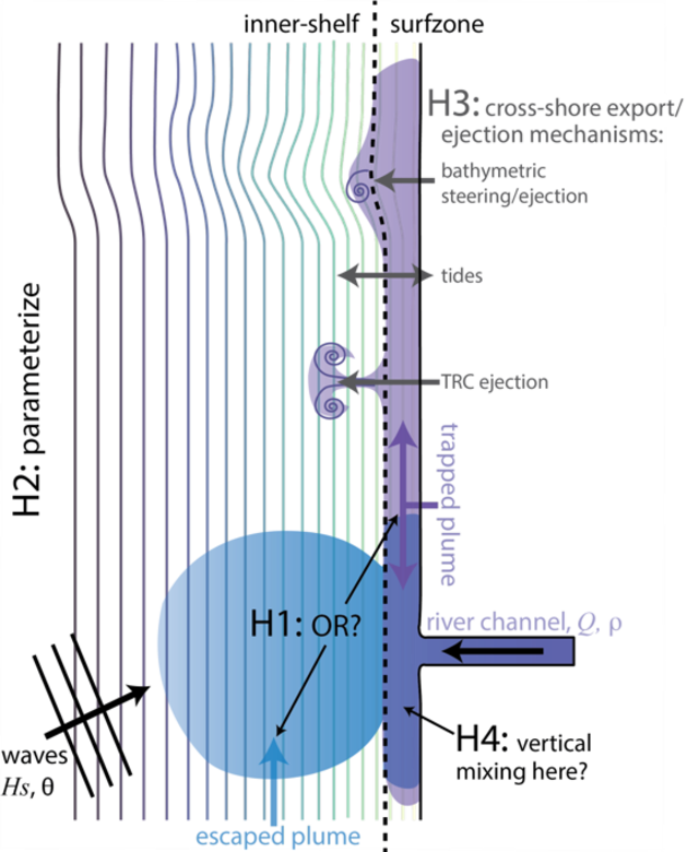 Pink Dye Experiment to Reveal Mysteries of Coastal Ocean Dynamics