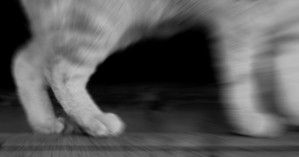 Placer County Animal Services investigating suspicious deaths of 14 animals