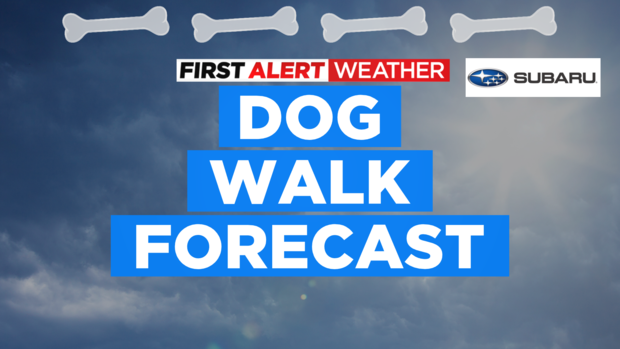 dog-walk-forecast.png 