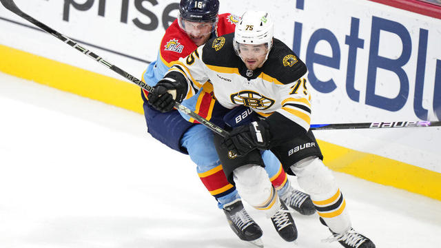 Bruins Panthers Hockey 