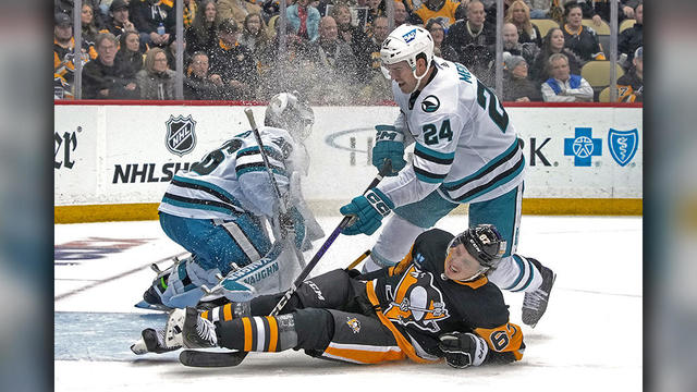 Sharks - Penguins Hockey 