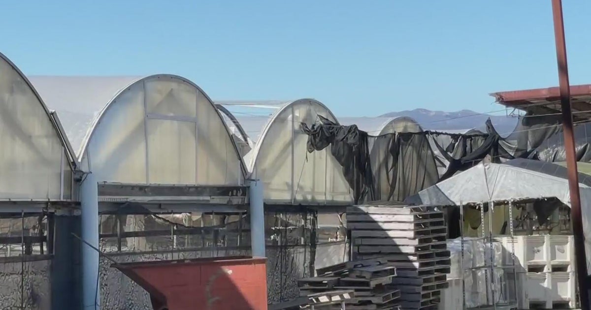 Half Moon Bay mushroom farm promises to build permanent worker housing